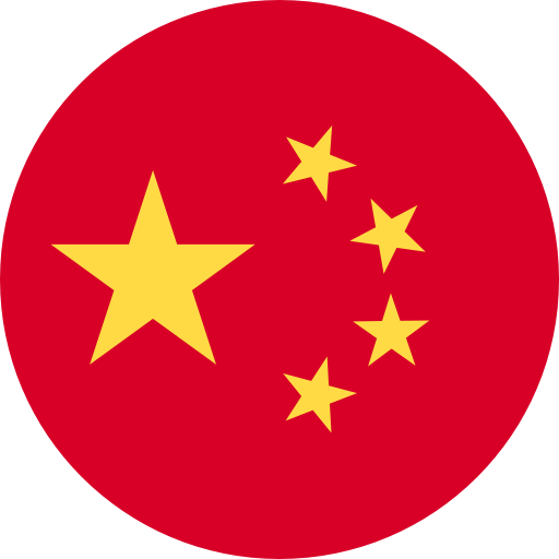 中文